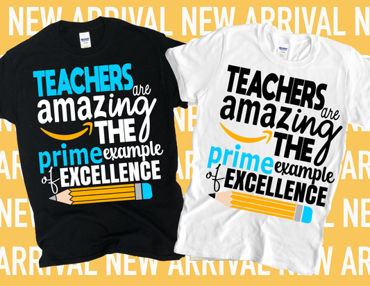 Amazing Teacher T-Shirt